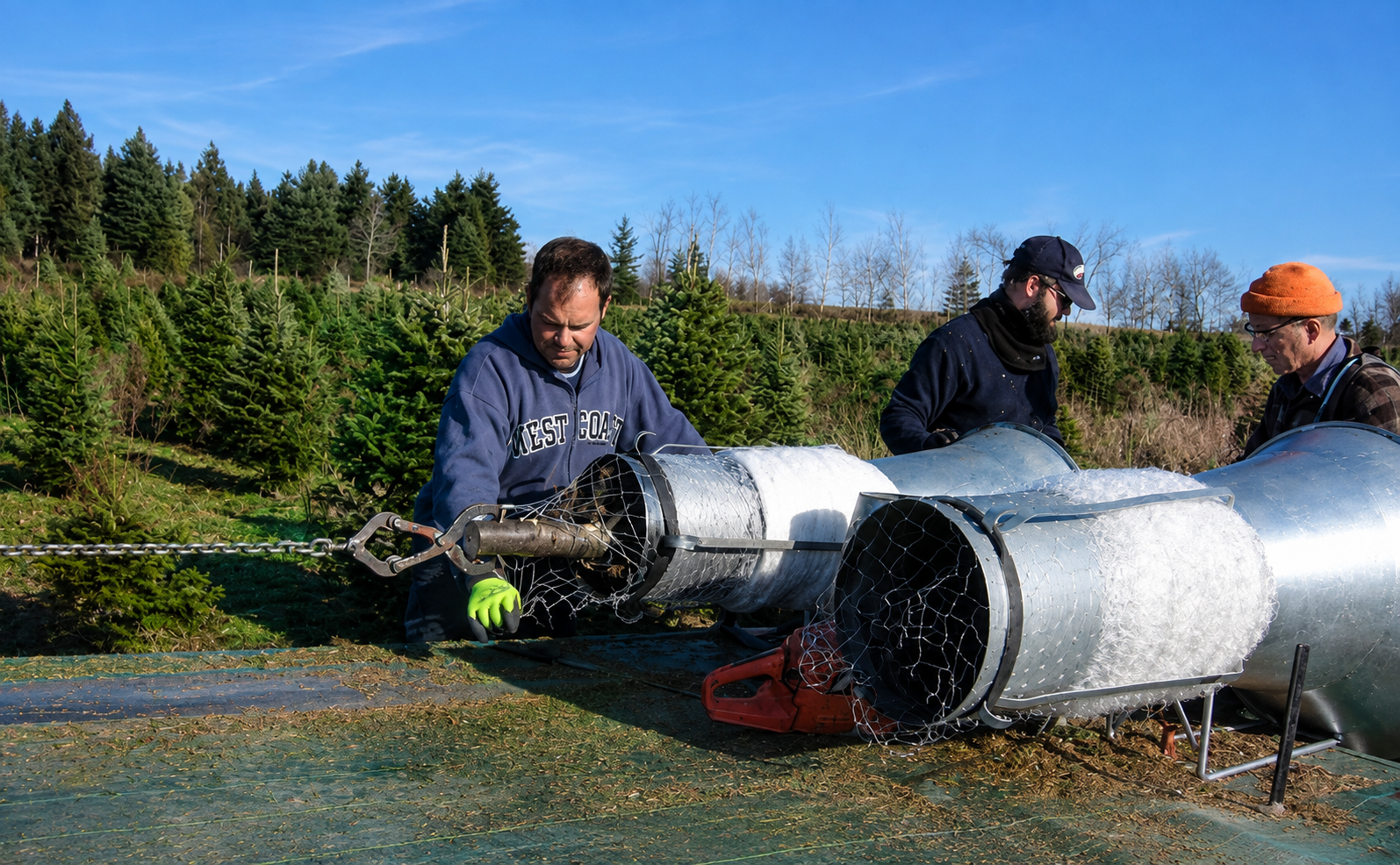 Christmas tree growers